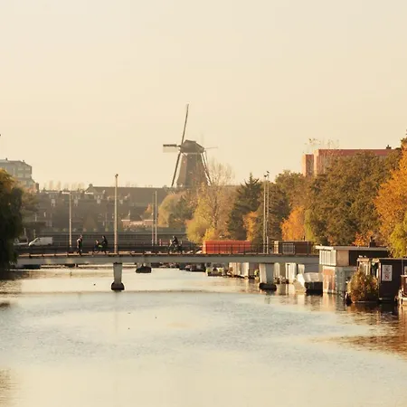 - The Niu, Fender 4*