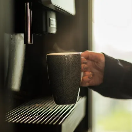 - The Niu, Fender 4*