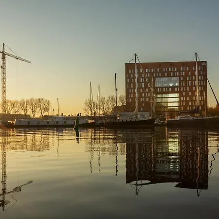 - The Niu, Fender Hotel