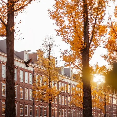 The Niu Fender Hotel Amsterdam