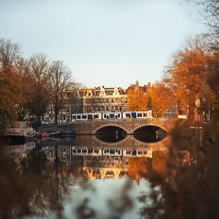 - The Niu, Fender Amsterdam