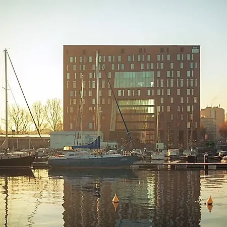 - The Niu, Fender Amsterdam