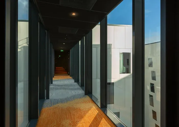 - The Niu, Fender Hotel Amsterdam