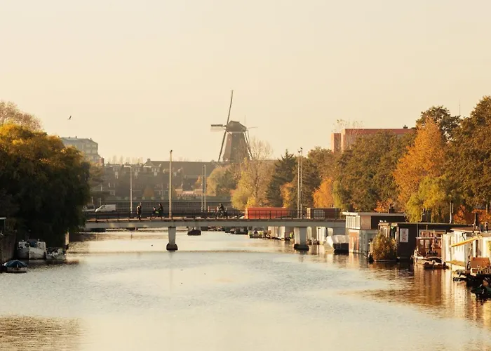 - The Niu, Fender 4*