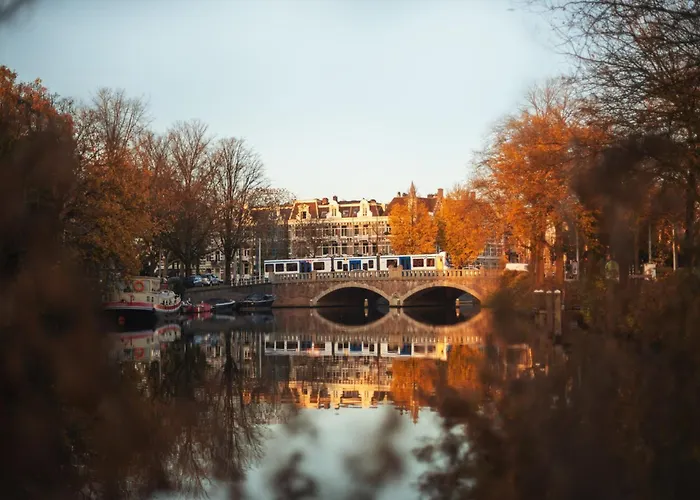 - The Niu, Fender Amsterdam