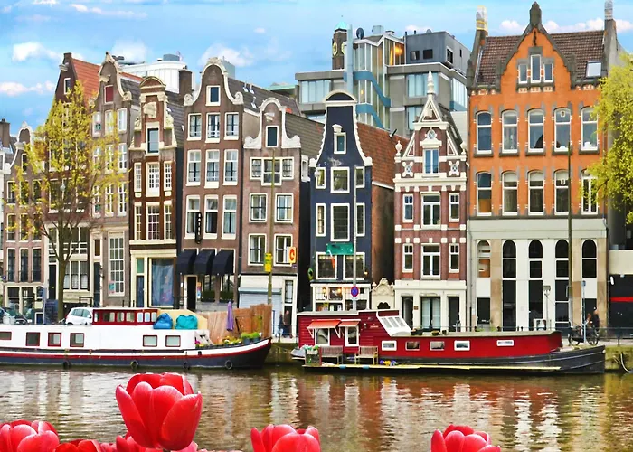 - The Niu, Fender Hotel Amsterdam