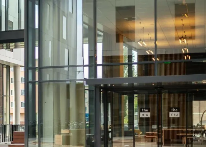 - The Niu, Fender Amsterdam