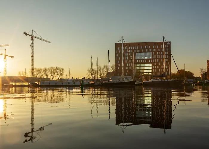 - The Niu, Fender Hotel